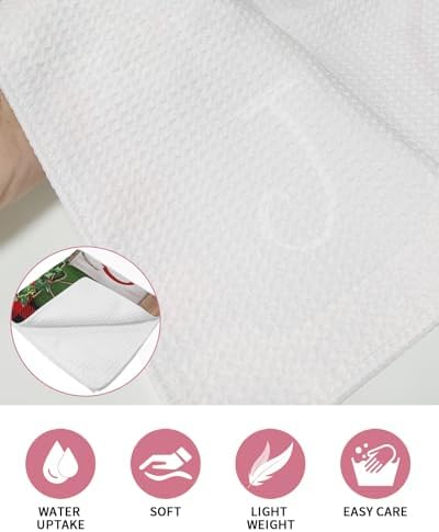 Falaniique Christmas Plaid Waffle Towel Set of 4