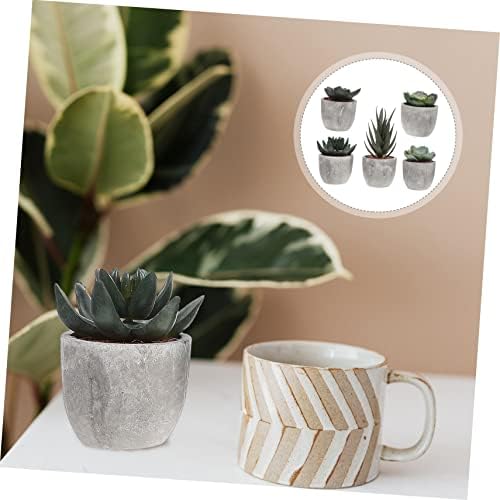 Alipis 5Pcs Artificial Succulent Plants with Pots