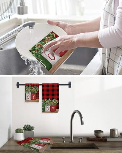 Falaniique Christmas Plaid Waffle Towel Set of 4
