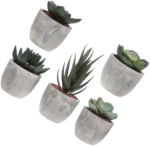 Alipis 5Pcs Artificial Succulent Plants with Pots