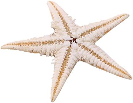 ZALING 100 Pcs Finger Starfish Decor Frame Ornaments