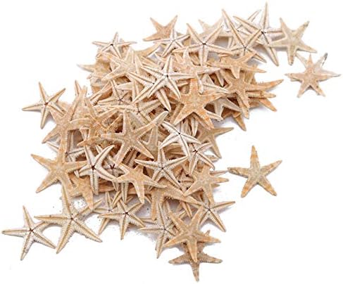 ZALING 100 Pcs Finger Starfish Decor Frame Ornaments