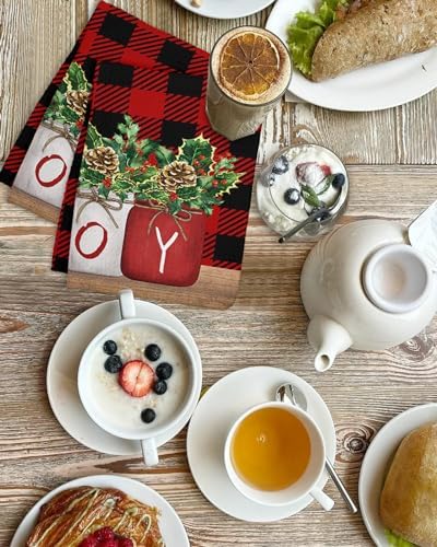 Falaniique Christmas Plaid Waffle Towel Set of 4