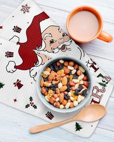 Falaniique Merry Christmas Waffle Towel Set of 2 1