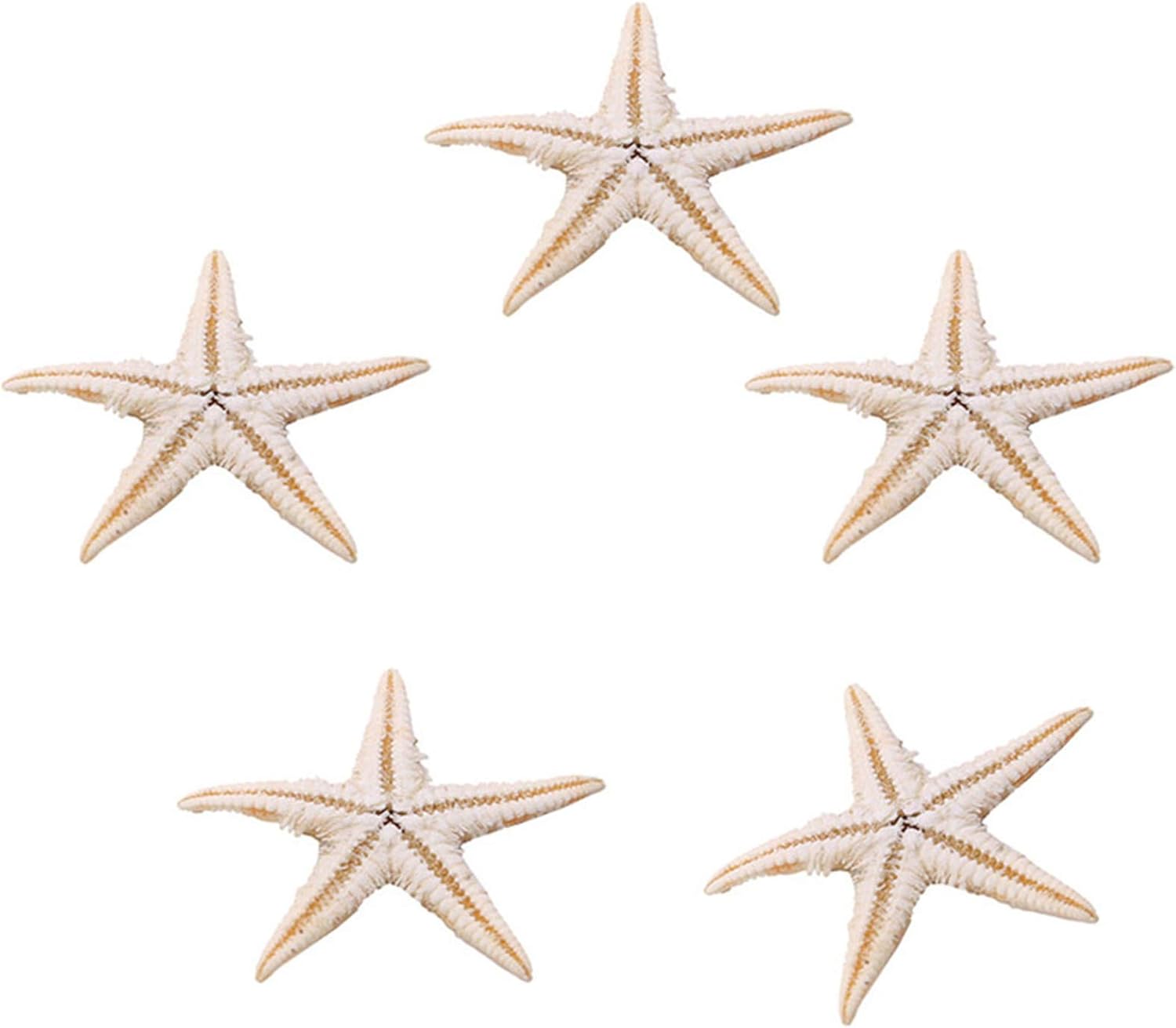 ZALING 100 Pcs Finger Starfish Decor Frame Ornaments