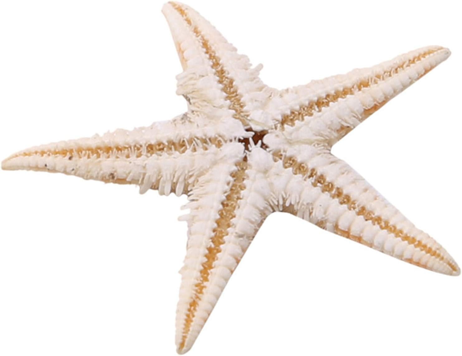 ZALING 100 Pcs Finger Starfish Decor Frame Ornaments