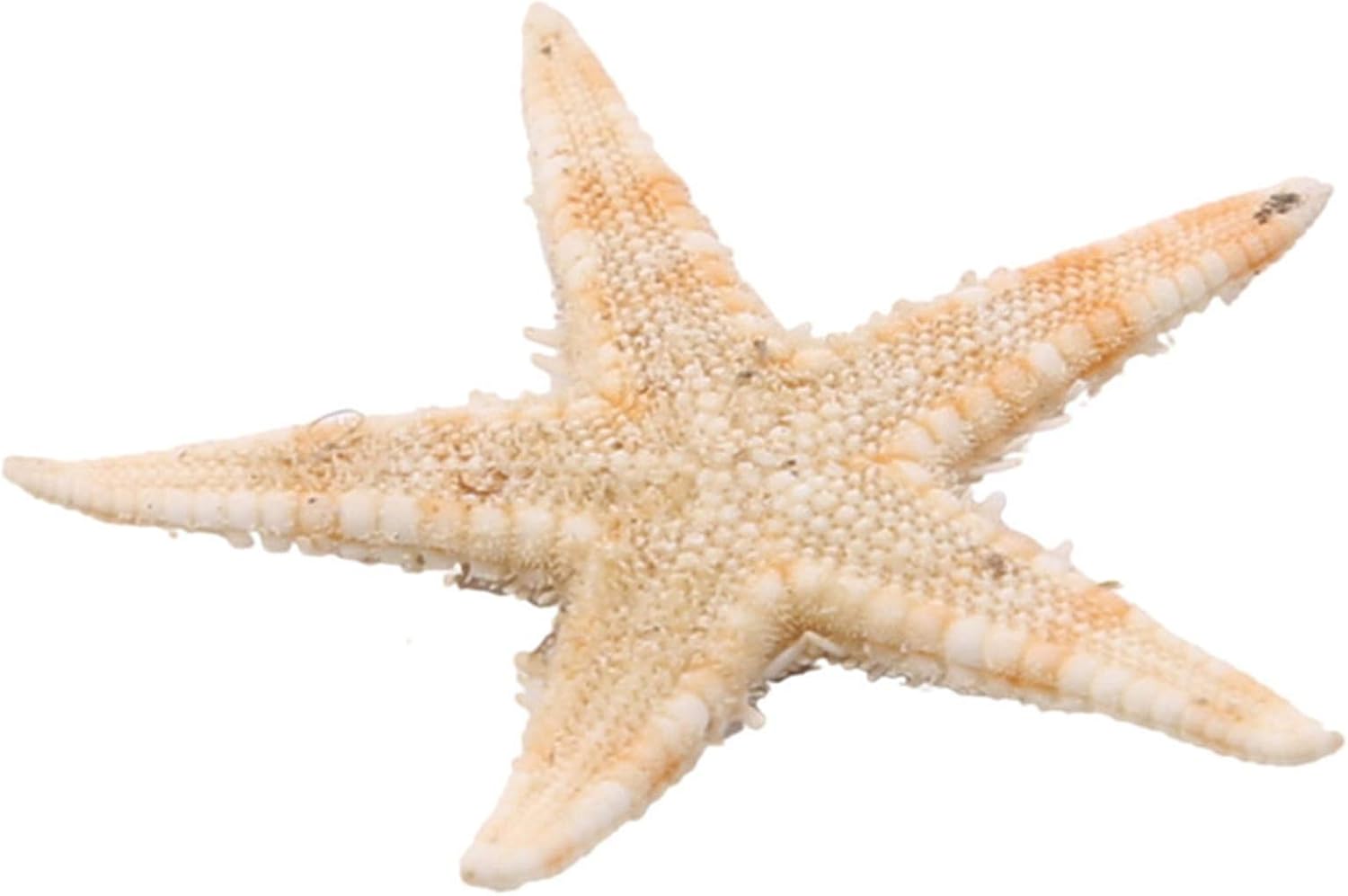 ZALING 100 Pcs Finger Starfish Decor Frame Ornaments
