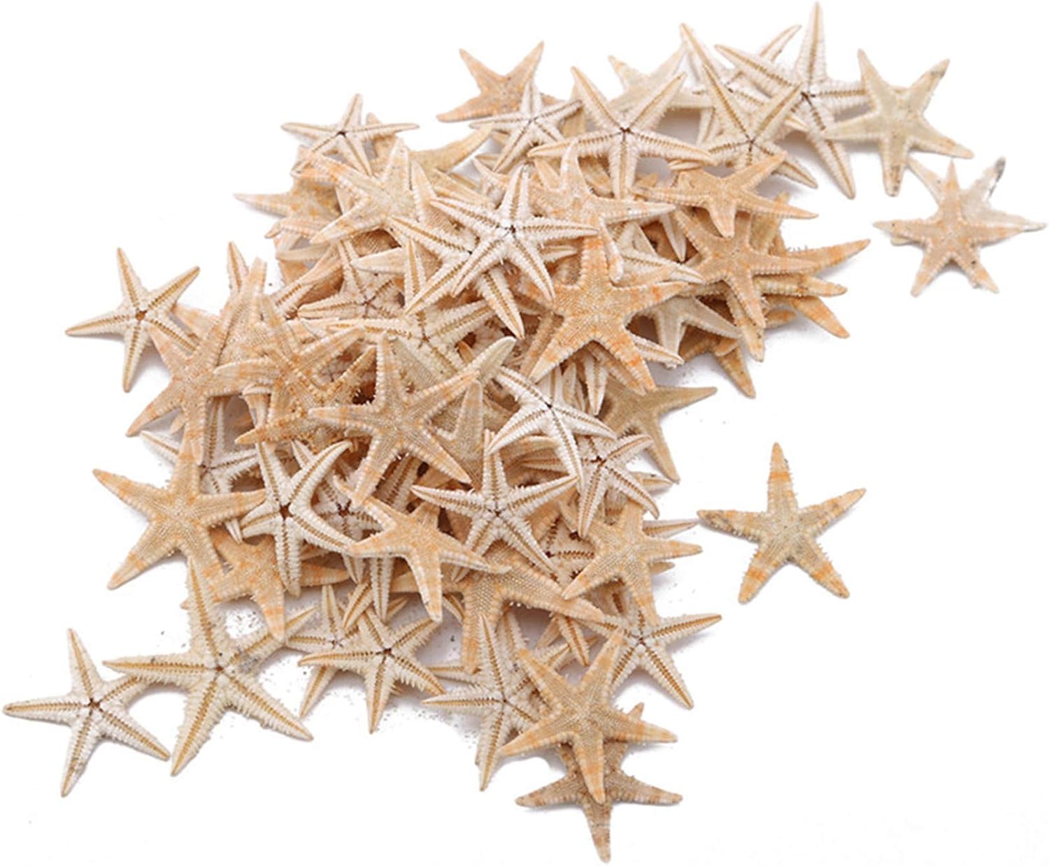 ZALING 100 Pcs Finger Starfish Decor Frame Ornaments