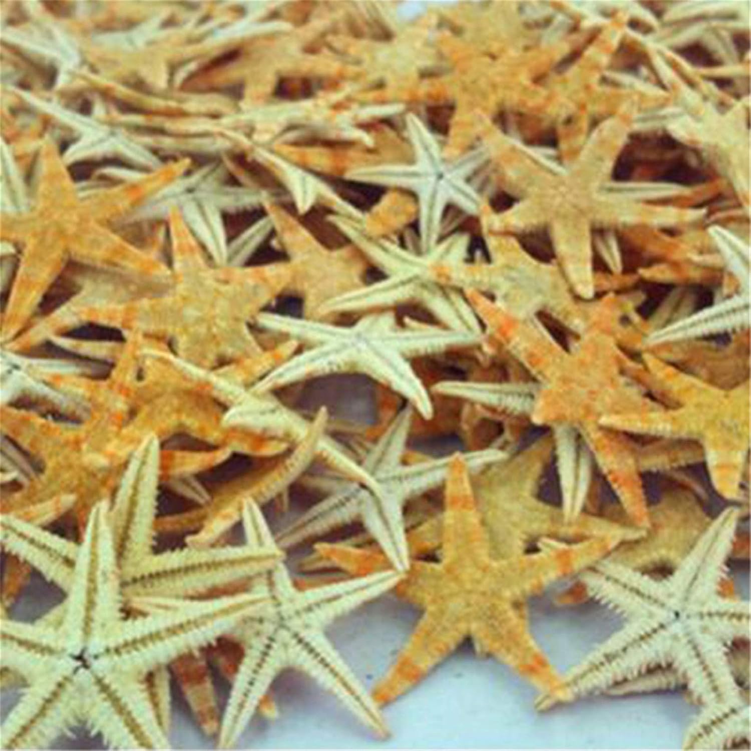 ZALING 100 Pcs Finger Starfish Decor Frame Ornaments