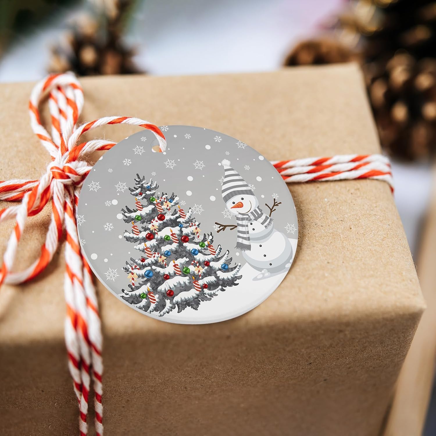 Litter Star 3-Inch Round Christmas Ornament with Gold Ribbon